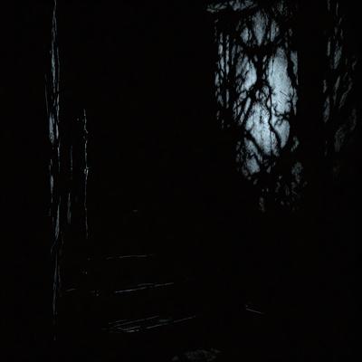 The primary subject of the image is a dark, narrow hallway with a doorway at the end. The setting is a black and white photo, giving it a classic and timeless appearance. The visual style is reminiscent of a vintage photograph, adding a sense of nostalgia to the scene. The colors and mood are predominantly dark and moody, with the black and white palette emphasizing the shadows and contrasts in the image.